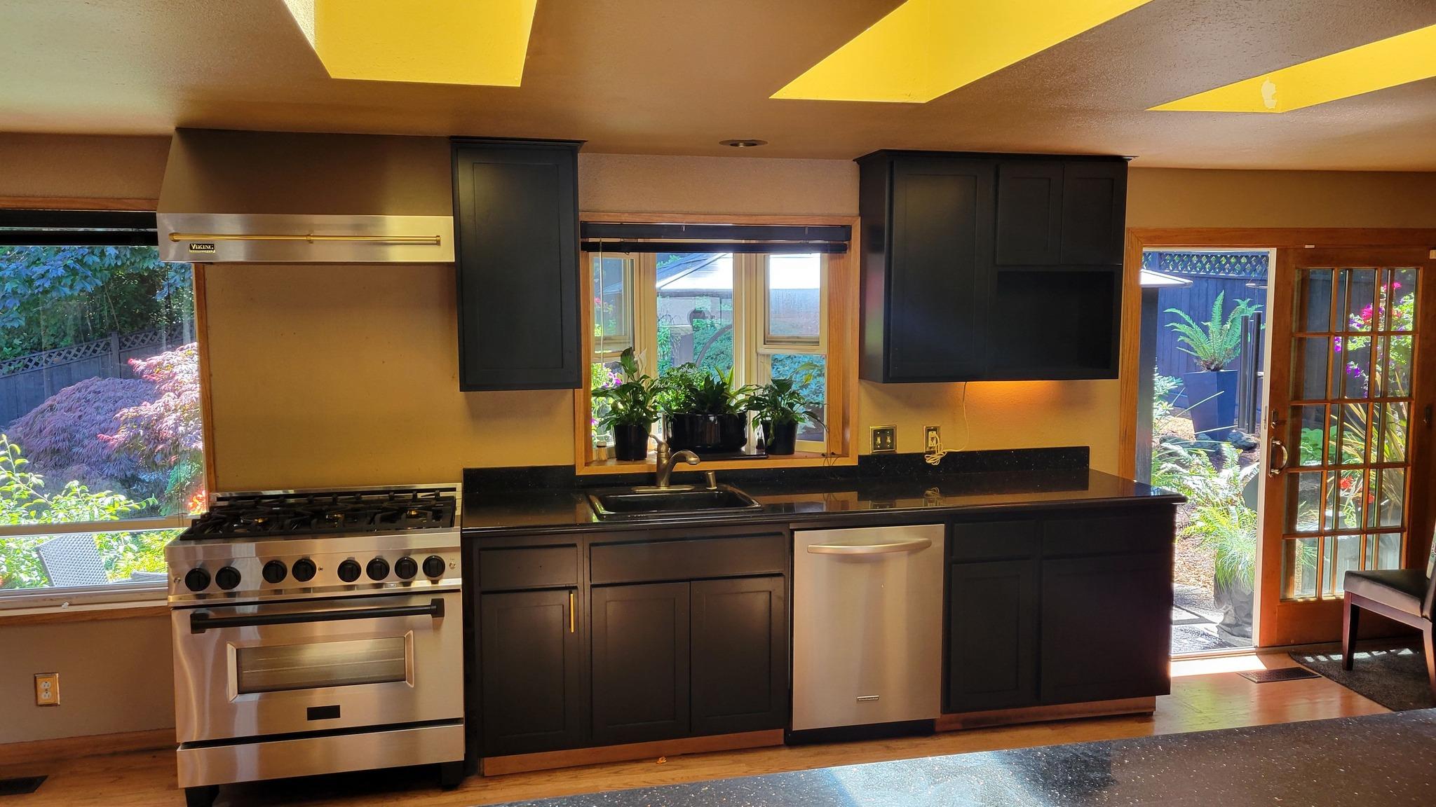 Lane HBS — Stunning kitchen renovation with dark cabinets